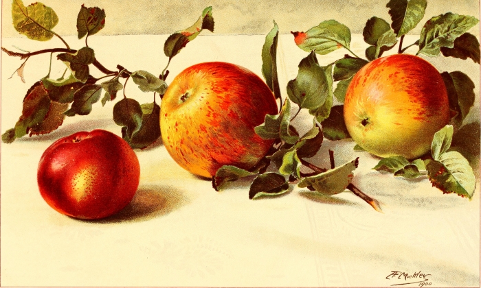 Apples with Leaves as Art